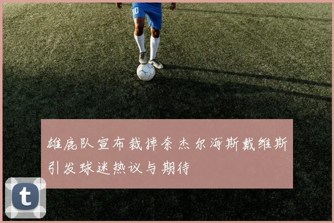 雄鹿队宣布裁掉奈杰尔海斯戴维斯引发球迷热议与期待